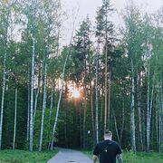 ���������� �����������, ���� ������� �������, 29 ���, ������������ ��� ������, ����� � ���������