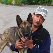  ,   , 61 ,   