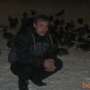  ,   08081975, 50 ,   ,   , c 