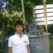  ,   Babur, 37 ,     , c 