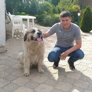 ���������� ��������, ���� ������� �����, 37 ���, ������������ ��� ������, ����� � ���������, c�������� ���������, ���������