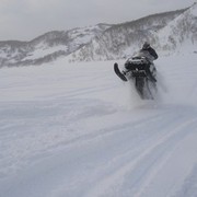 ���������� �������, ���� ������� ������, 36 ���, ������������ ��� ������, ����� � ���������, c�������� ���������