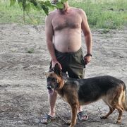 ���������� ���������, ���� ������� �������, 42 ����, ������������ ��� c�������� ���������