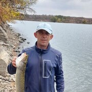  ,   , 52 ,   c 
