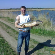 ���������� ��������, ���� ������� �������, 37 ���, ������������ ��� ������