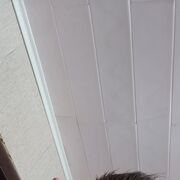 ,   , 26 ,  