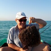 ���������� ������, ���� ������� ���������, 65 ���, ������������ ��� ����� � ���������, c�������� ���������