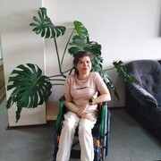  ,   , 40 ,   