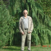  ,   Ivan, 85 ,  