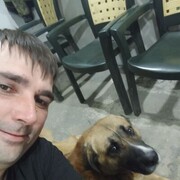 ���������� �������, ���� ������� �������, 38 ���, ������������ ��� c�������� ���������, ���������