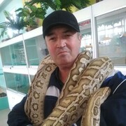  ,   Ali, 56 ,   ,   