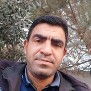  ,   Zaur, 46 ,   ,   
