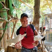  ,   , 41 ,     , c , 