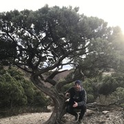 ���������� �����, ���� ������� �����, 40 ���, ������������ ��� ����� � ���������