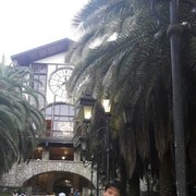 ���������� ������ ��������, ���� ������� �������, 55 ���, ������������ ��� ������, ����� � ���������, c�������� ���������