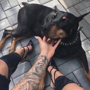 ,   , 26 ,  