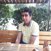  ,  Shamo, 41