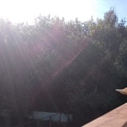 "��� ������� �� ������� ����������. � ���� �� ��� ���." 
��