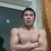 -,   , 41 ,  