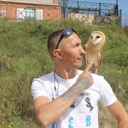 ���������� �������, ���� ������� �������, 47 ���, ������������ ��� ������, ����� � ���������, c�������� ���������, ���������