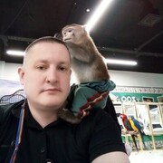 ���������� �����, ���� ������� �����, 43 ����, ������������ ��� ������, ����� � ���������, c�������� ���������