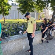 ���������� ������, ���� ������� ������, 40 ���, ������������ ��� ������, ����� � ���������, c�������� ���������, ���������