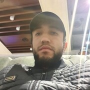 ���������� �������, ���� ������� Shaxruh, 36 ���, ������������ ��� ������, ����� � ���������, c�������� ���������