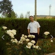 ���������� �����-���������, ���� ������� ����, 38 ���, ������������ ��� ������, ����� � ���������