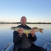  ,   Aleksandr, 41 ,   ,   