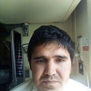 ���������� ���, ���� ������� ϸ��, 33 ����, ������������ ��� ����� � ���������, c�������� ���������