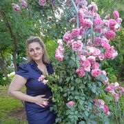  ,   , 48 ,     , c 