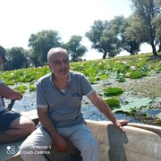  ,   , 55 ,   ,   