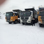 ���������� ����, ���� ����� �������, 25 ���, ������������ ��� ������, ����� � ���������, c�������� ���������, ���������