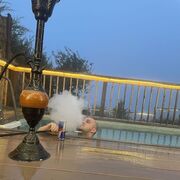 ���������� ������, ���� ������� ����, 31 ���, ������������ ��� ������, ����� � ���������