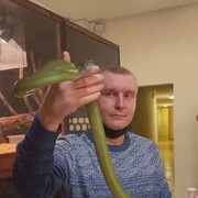 ���������� ��������, ���� ������� �������, 45 ���, ������������ ��� ������, ����� � ���������