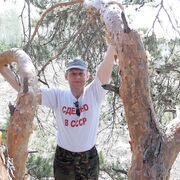 ���������� ��������, ���� ������� ����, 39 ���, ������������ ��� ������, ����� � ���������