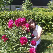 ���������� �����������, ���� ������� ������, 47 ���, ������������ ��� ������