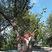 ���������� ����, ���� ������� ������, 38 ���, ������������ ��� ������, ����� � ���������, c�������� ���������