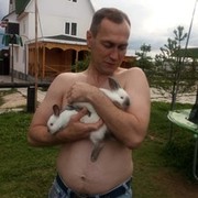 ���������� �����, ���� ������� ������, 46 ���, ������������ ��� ������, ����� � ���������, c�������� ���������