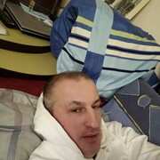  ,   Alegator, 46 ,     , c 