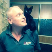 ���������� �����������, ���� ������� �������, 50 ���, ������������ ��� ������, ����� � ���������, c�������� ���������