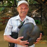 ���������� ������, ���� ������� Anatol, 55 ���, ������������ ��� ������