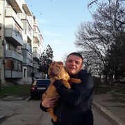  ,   , 38 ,     , c , 
