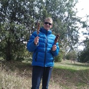  ,   , 41 ,  