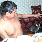  ,   , 66 ,  