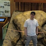 ���������� ��������, ���� ������� ������, 29 ���, ������������ ��� ������, ����� � ���������, c�������� ���������