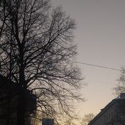 ���������� �����-���������, ���� ������� ������, 59 ���, ������������ ��� ������, ����� � ���������