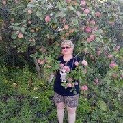 ���������� ���, ���� ������� ����, 65 ���, ������������ ��� c�������� ���������