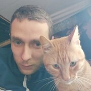  ,   , 28 ,     , c , 