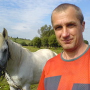  ,  Vitek, 79